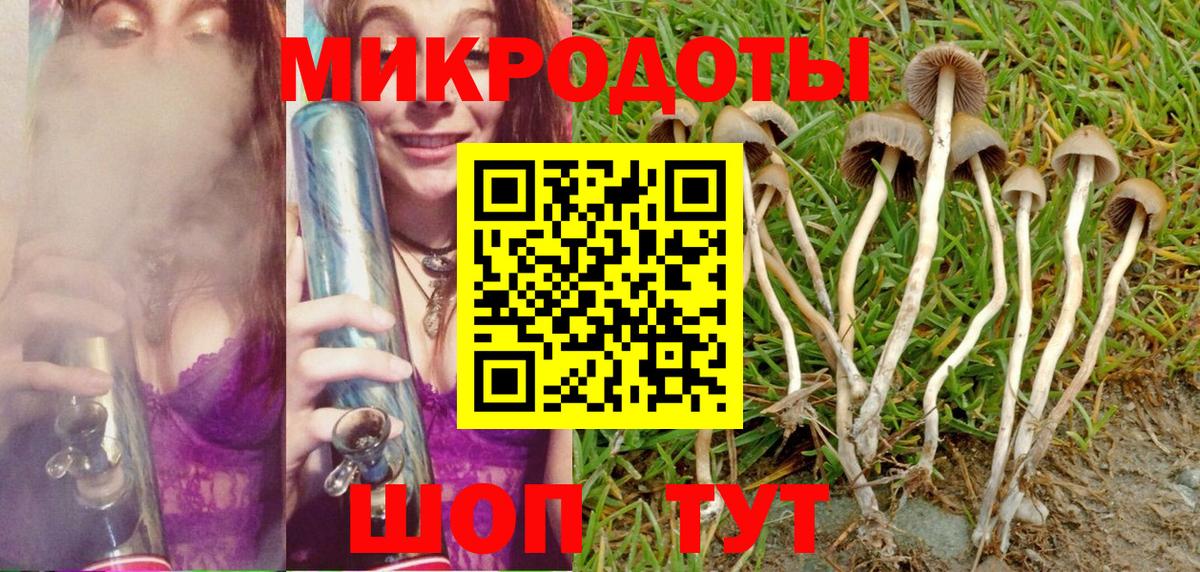 Александров  Галлюциногенные грибы Cubensis  Вход с VPN 