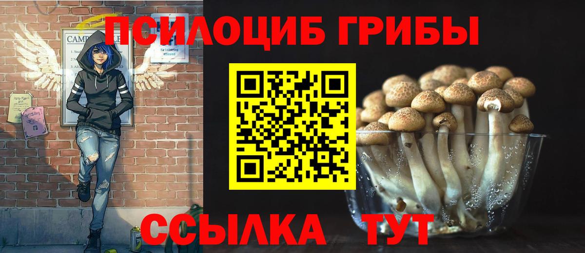 Псилоцибиновые грибы Psilocybine cubensis Александров