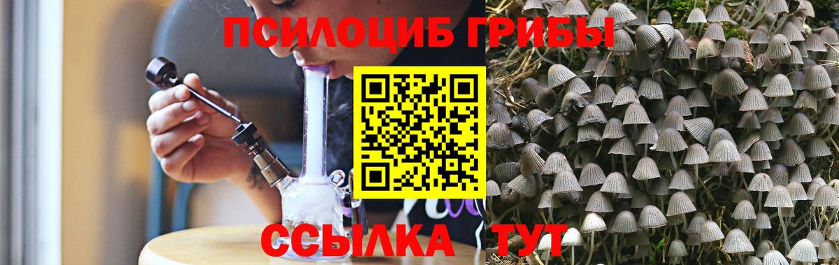 Псилоцибиновые грибы Magic Shrooms  Галлюциногенные грибы прущие грибы  Александров 