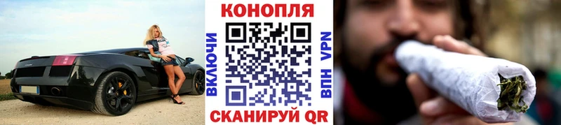 где продают наркотики  Александров  Бошки Шишки марихуана 
